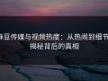 麻豆传媒与视频热度：从热闹到细节，揭秘背后的真相