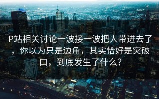 P站相关讨论一波接一波把人带进去了，你以为只是边角，其实恰好是突破口，到底发生了什么？