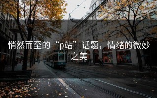 悄然而至的“p站”话题，情绪的微妙之美
