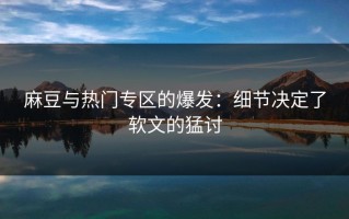 麻豆与热门专区的爆发：细节决定了软文的猛讨
