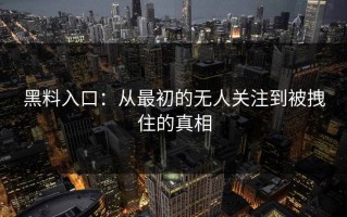 黑料入口：从最初的无人关注到被拽住的真相