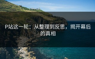 P站这一轮：从整理到反思，揭开幕后的真相