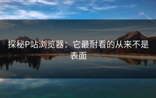 探秘P站浏览器：它最耐看的从来不是表面
