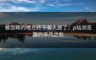 被忽略的地方终于有人提了：p站浏览器的非凡之处