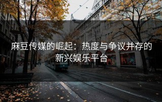 麻豆传媒的崛起：热度与争议并存的新兴娱乐平台