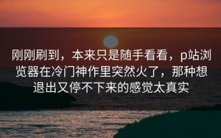 刚刚刷到，本来只是随手看看，p站浏览器在冷门神作里突然火了，那种想退出又停不下来的感觉太真实