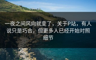 一夜之间风向就变了，关于P站，有人说只是巧合，但更多人已经开始对照细节