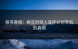 探寻真相：麻豆的惊人连环计划背后的真相