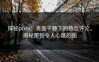 探秘pixiv：表面平静下的热血评论，揭秘那些令人心跳的图