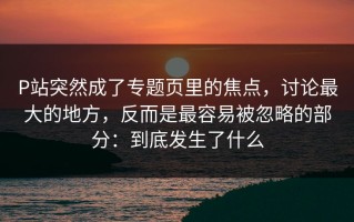 P站突然成了专题页里的焦点，讨论最大的地方，反而是最容易被忽略的部分：到底发生了什么