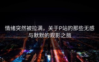 情绪突然被拉满，关于P站的那些无感与默默的观影之旅