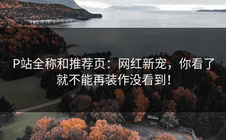 P站全称和推荐页：网红新宠，你看了就不能再装作没看到！-第1张图片-p站助手导航站 | p站搬运工视频库